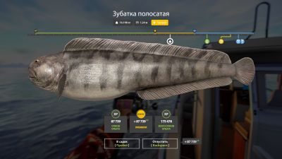 Trophy Norwegian Sea