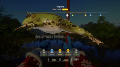 Trophy Winding Rivulet