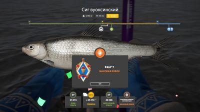 Trophy Ladoga archipelago